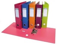 Bantex Fruit Lever Arch File Pvc A4 Mango