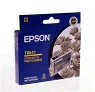 Epson T0541 Inkjet Cartridge Photo Black
