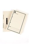 Avery 86804 Spring Transfer File Fc Buff Printed Black