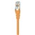 Hypertec Cat5 Rj45 Network Cable Orange 3M